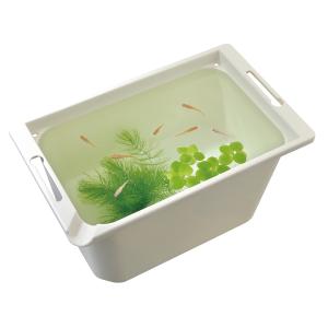 GEX メダカ元気 メダカのための飼育箱 白3...の詳細画像1