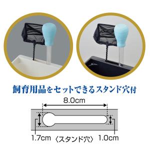 GEX メダカ元気 メダカのための飼育箱 白3...の詳細画像4