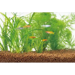 GEX メダカ水景 ろ過する赤玉土 小粒 2....の詳細画像1