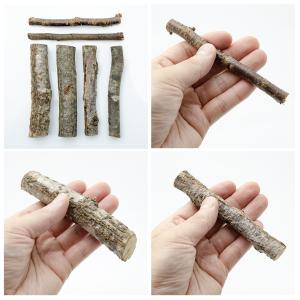 フジコン 転倒防止小枝 昆虫 カブトムシ クワ...の詳細画像1