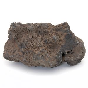 チャーム（charm） 一点物 碧海石 親石 大型水槽用 857672