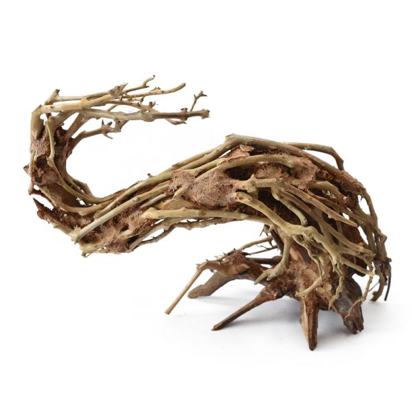 カミハタ　水景ＢＯＮＳＡＩ　昇竜樹　Ｓサイズ　約２２×１５ｃｍ　アクアリウム　水槽