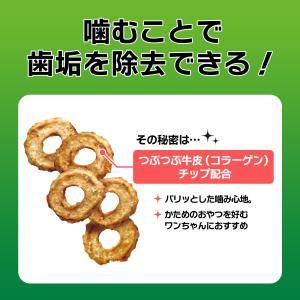 ライオン ペットキッス PETKISS ワンち...の詳細画像4