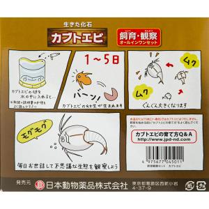 日本動物薬品 ニチドウ 飼育観察セット カブトエビの詳細画像2