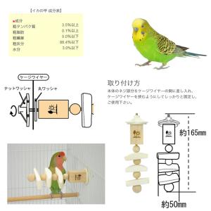 三晃商会 カトルボーン スティックの詳細画像1