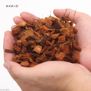 業務用ハスクチップ 200L 爬虫類用 底床 ...の詳細画像1