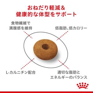 ロイヤルカナン 猫 おねだりの多い成猫用 FC...の詳細画像4