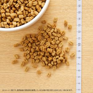 【送料無料】ドッグフード ニュートロ ナチュラ...の詳細画像5