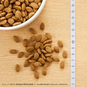 ニュートロ シュプレモ 小型犬用 成犬用 6k...の詳細画像4