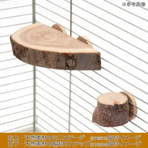 広葉樹製丸ワッシャー 4枚入り 直径4cm×0...の詳細画像3