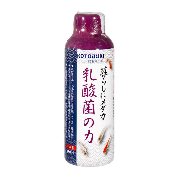 コトブキ工芸　メダカ　乳酸菌の力　１５０ｍｌ