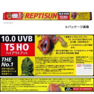 交換球 ZOOMED レプティサン T5ハイア...の詳細画像1