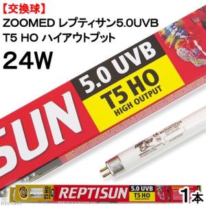 GEX（ジェックス） エキゾテラ ソーラーグローUV 80W
