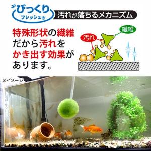 サンコー びっくり水槽クリーナー 水槽 掃除の詳細画像1
