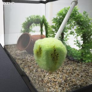 サンコー びっくり水槽クリーナー 水槽 掃除の詳細画像2