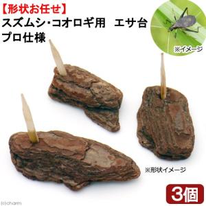 スズムシ・コオロギ用　エサ台　プロ仕様　３個入り