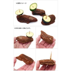 スズムシ・コオロギ用 エサ台 プロ仕様 3個入りの詳細画像1