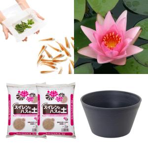 (ビオトープ)(めだか)はじめての睡蓮栽培セット...の商品画像