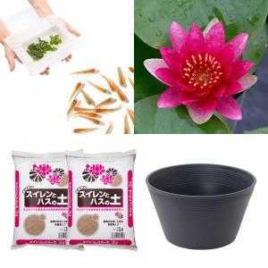 （ビオトープ）（めだか）はじめての睡蓮栽培セット　エスカボークル＋睡蓮鉢＋ヒメダカ＋浮き草他　説明書付　本州四国限定　お一人様１点限り