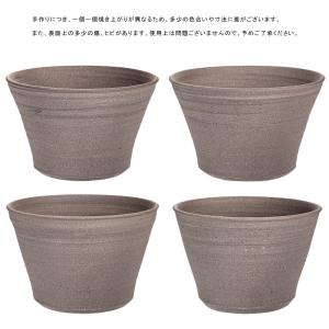 (ビオトープ)睡蓮 私の小さなビオトープ 益子...の詳細画像2