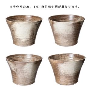 (ビオトープ)睡蓮 私の小さなビオトープ 益子...の詳細画像2