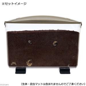 プラケース 見える観察ケース ラクぼっくす ワイドの詳細画像2