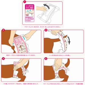 犬 おむつ マナーウェア 女の子用 SSSサイ...の詳細画像4