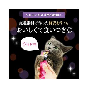 シーバ とろ〜り メルティ まぐろ&かつお味グ...の詳細画像3