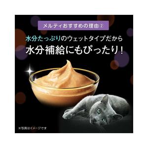 シーバ とろ〜り メルティ まぐろ&かつお味グ...の詳細画像4