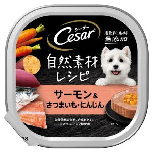 シーザー　自然素材レシピ　サーモン＆さつまいも・にんじん　８５ｇ　ドッグフード｜chanet