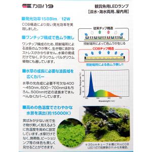 カミハタ Rio COB LED クールホワイ...の詳細画像3