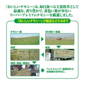 送料無料 GEX おいしいチモシー 1.1kg...の詳細画像3