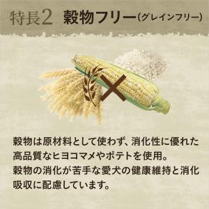 ニュートロ ワイルド レシピ 超小型犬〜小型犬...の詳細画像2