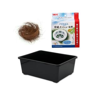 GEX メダカ元気 メダカのための飼育箱 350 (D) : Pet館 Yahoo!店