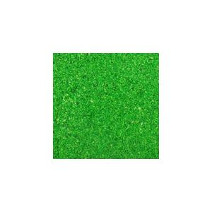 NPF エクセル 葉緑素 100gの詳細画像2