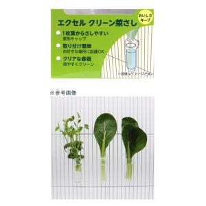 NPF クリーン菜さしの詳細画像2