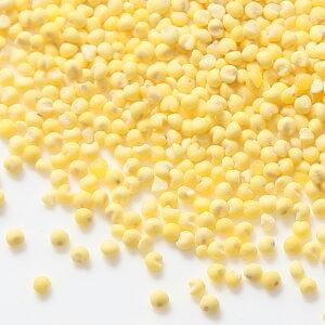 国産 小鳥のためのもちきび 50g 鳥 フード...の詳細画像2