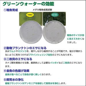 キョーリン ひかりウェーブ イージーグリーン ...の詳細画像2
