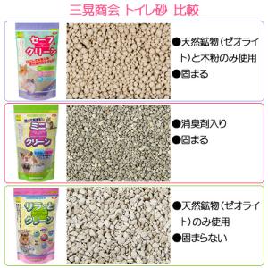 三晃商会 サラッとクリーン 600g×12 ト...の詳細画像3