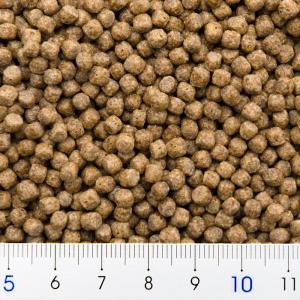キョーリン カメのエサ 大粒 200g×3袋 ...の詳細画像1