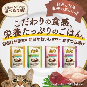 ニュートロ 猫 キャット デイリー ディッシュ...の詳細画像1