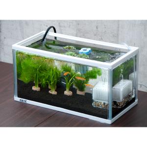 水作 アクアテリア メダカ用 ｎ１９０ おしゃれ水槽 アクアリウム用品 お一人様５点限り チャーム Charm Paypayモール店 通販 Paypayモール