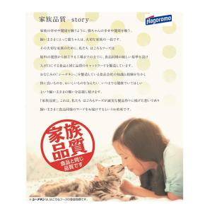 飲む無一物 鶏むね肉 40g はごろも 国産 ...の詳細画像4