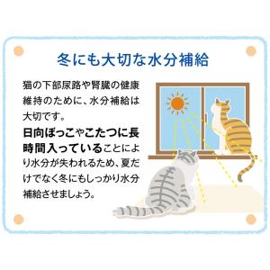 アイシア 健康缶パウチ 水分補給 まぐろとささ...の詳細画像4