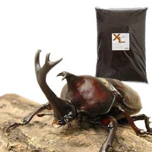 (昆虫)国産カブトムシ幼虫(3匹)+XLマット...の詳細画像1