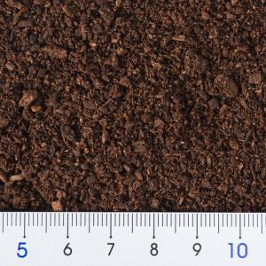 (昆虫)国産カブトムシ幼虫(3匹)+XLマット...の詳細画像3