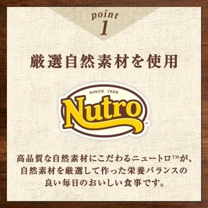 ニュートロ 猫 キャット デイリー ディッシュ...の詳細画像2