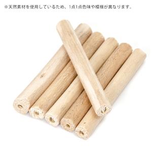 三晃商会 かじり木スティック ばりやわ ケナフ木材の詳細画像1