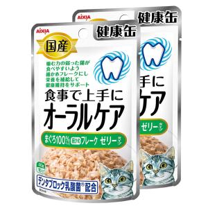 アイシア（AIXIA） 国産健康缶パウチ 水分補給 まぐろペースト 40g