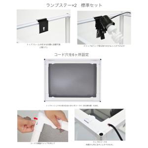 爬虫類ケージ 三晃商会 パンテオンカノン ブラ...の詳細画像4